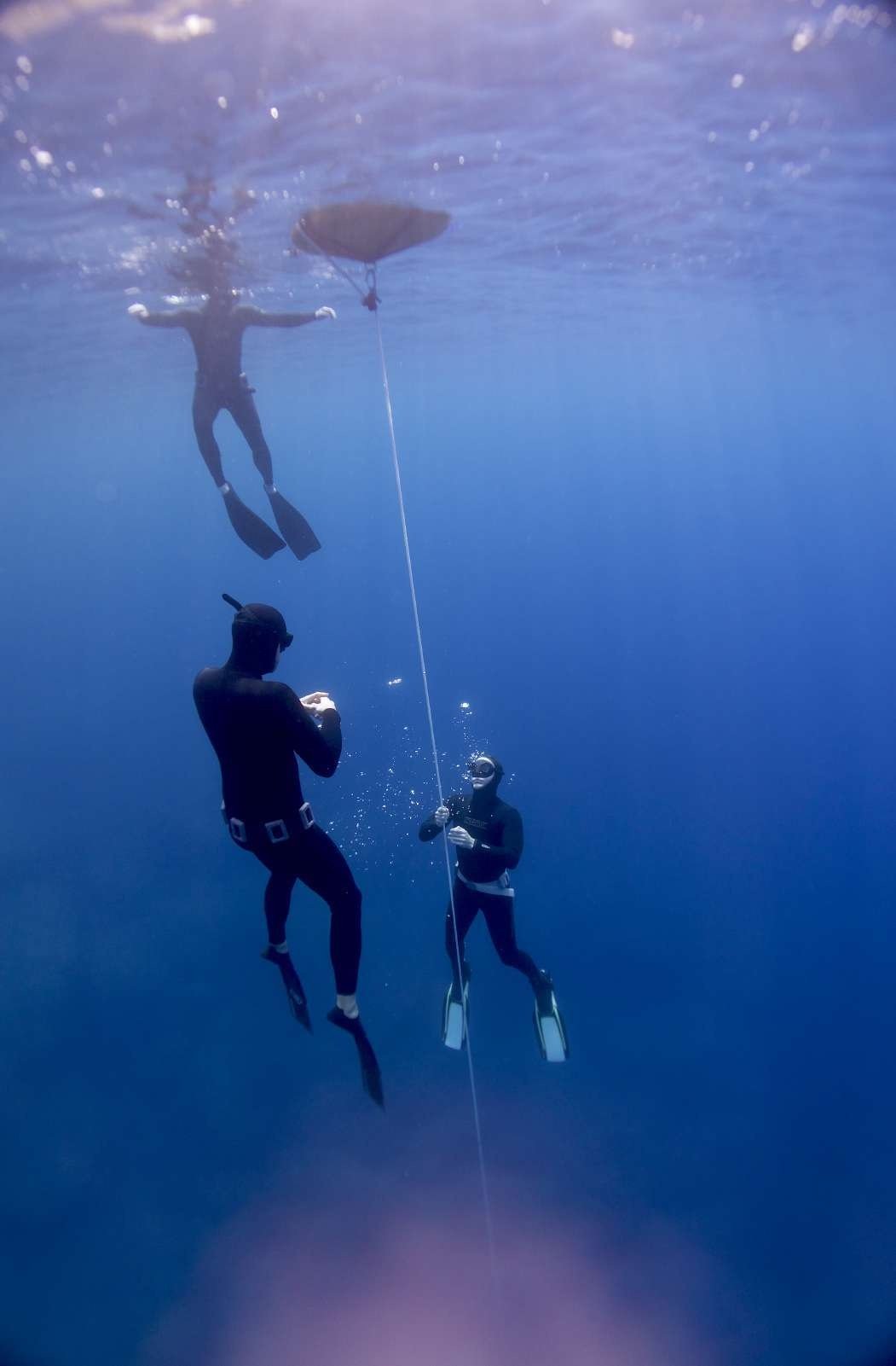 Zwei Freitaucher gleiten an einer Leine in tiefblaues Wasser hinab, darüber schwimmt eine dritte Person an der Oberfläche.
